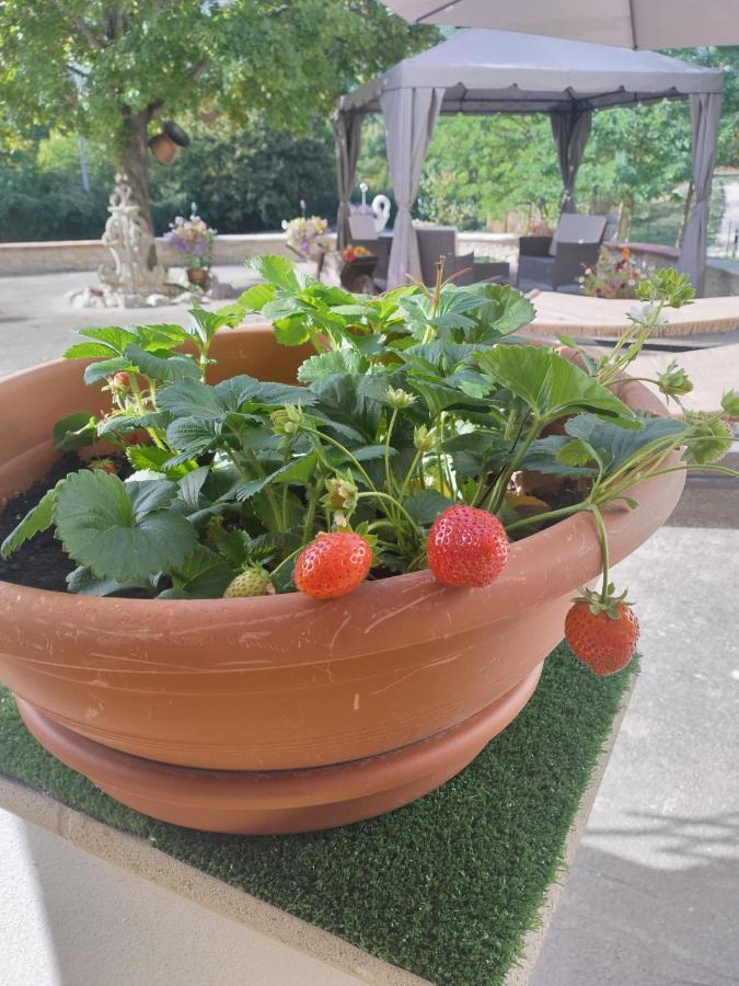 "Il Miglio" Country House Pettorano sul Gizio Екстериор снимка